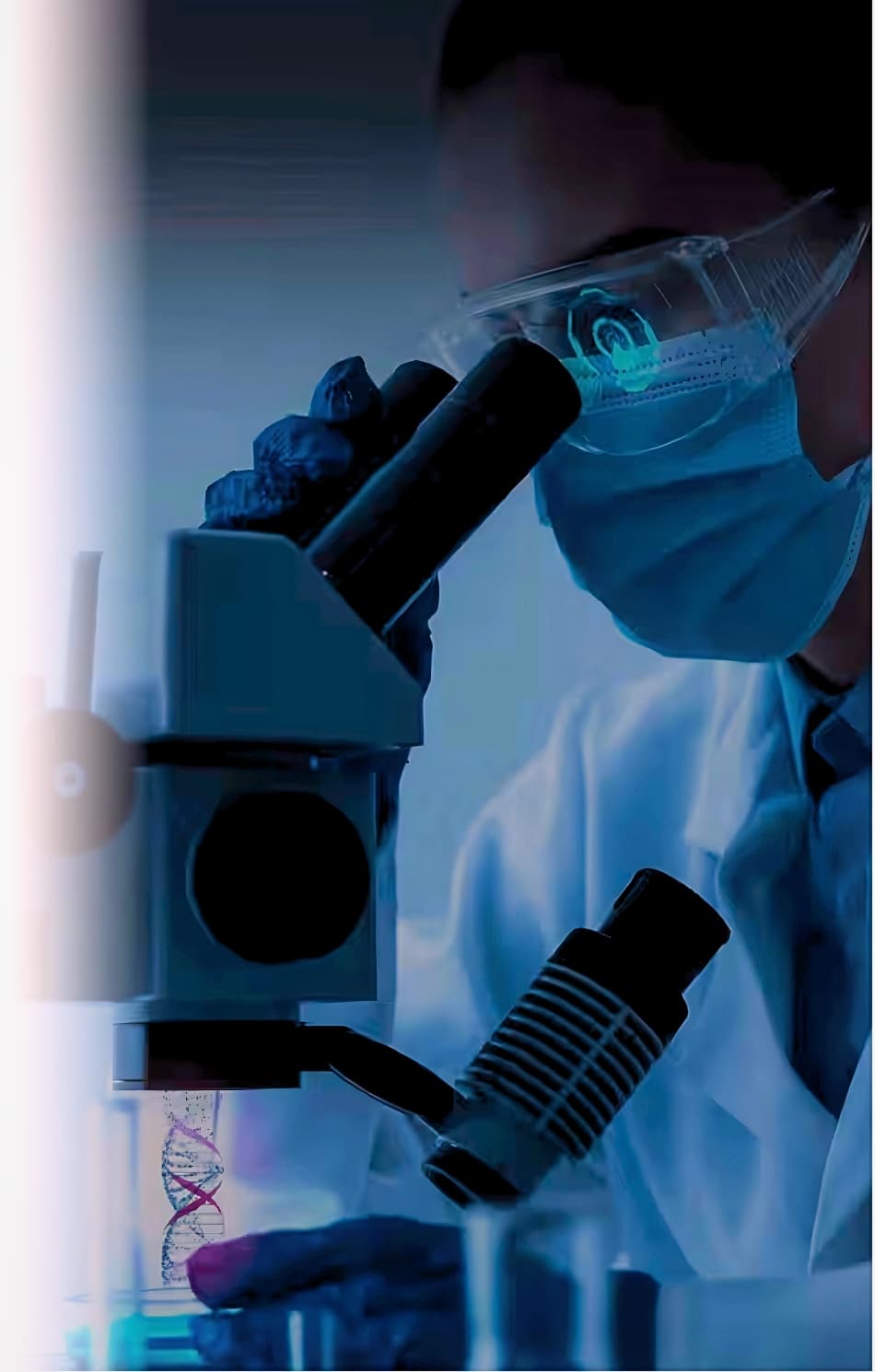 Bay Biosciences 研究員